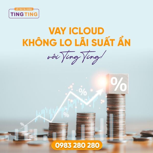 Vay Ting Ting - Giải Pháp Tài Chính Linh Hoạt, An Toàn Và Hiệu Quả