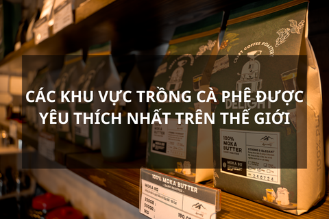 Các khu vực trồng cà phê được yêu thích nhất trên thế giới