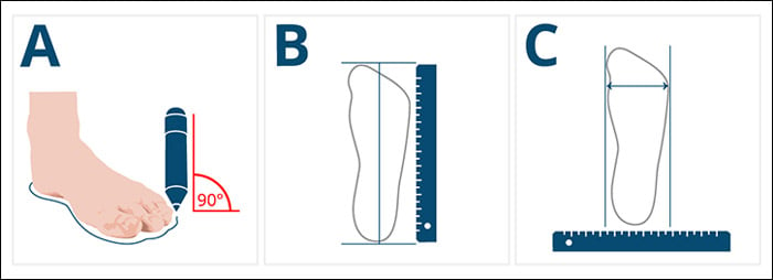 Các bước đo size chân Cole Haan chính xác