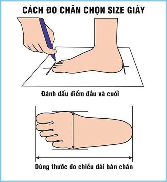 Cách đo kích thước chân chính xác