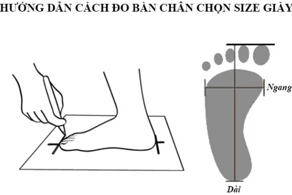 Hướng dẫn cách đo size giày nam