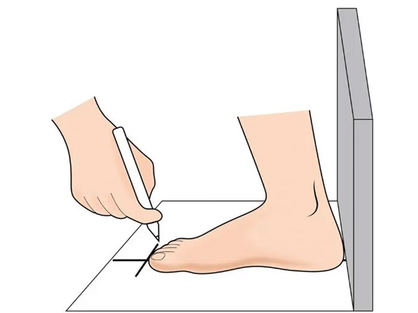 Hướng dẫn tự đo size chân giày Vans&nbsp;tại nhà