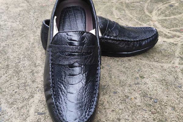 Giới thiệu về giày lười da đà điểu