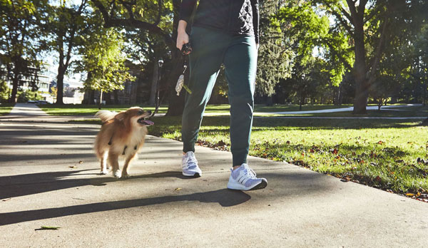 Giày thế thao nam đi bộ nên được lựa chọn, cân nhắc kỹ