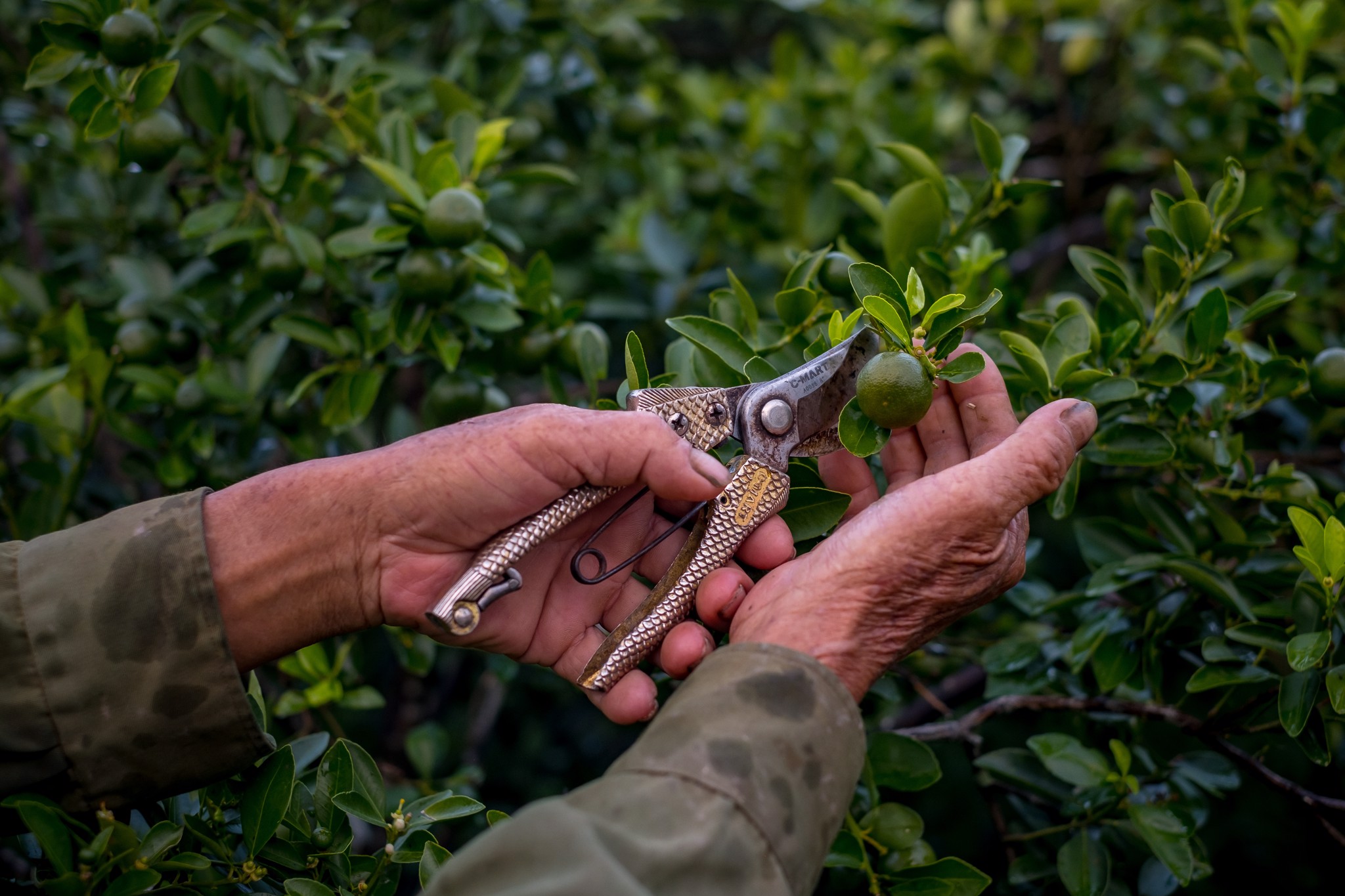 How we contribute to ensure sustainable farming in rural areas of Vietnam