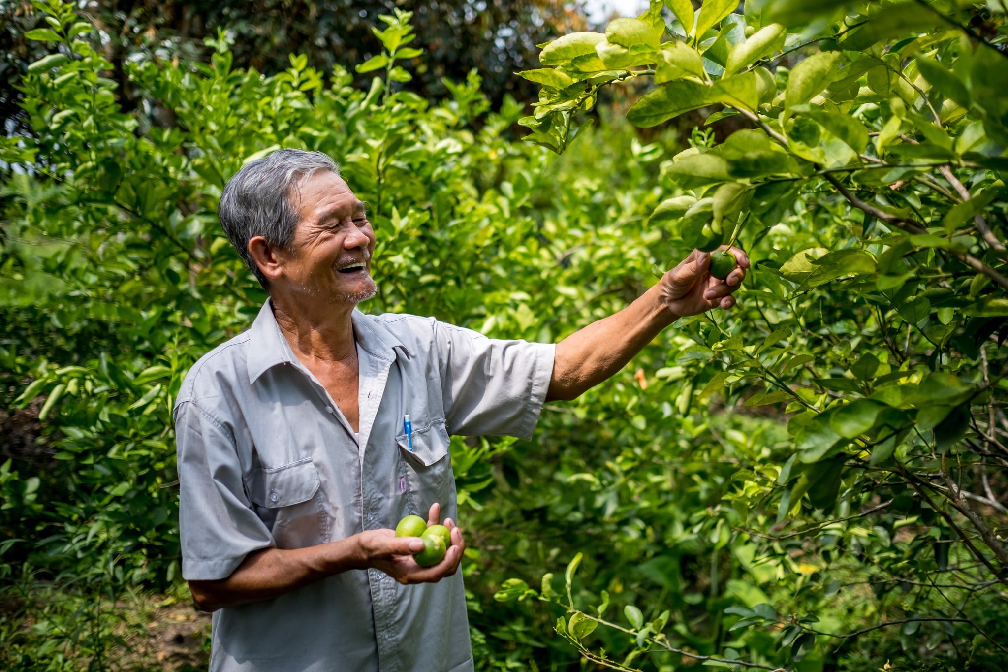 Cách chúng tôi góp phần đảm bảo canh tác bền vững ở nông thôn Việt Nam