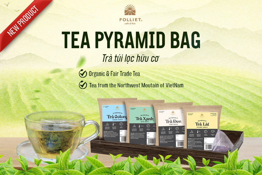 TRÀ TÚI LỌC TAM GIÁC