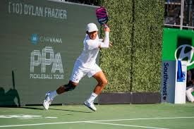 Tiêu chuẩn USAPA là gì - Tìm hiểu về dòng chữ USA Pickleball Approved