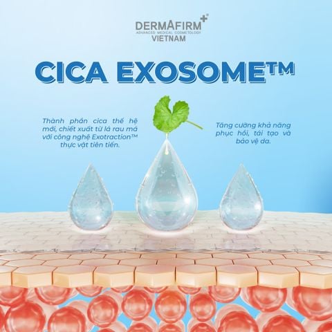 CICA EXOSOME™: THÀNH PHẦN EXOSOME™ THỰC VẬT TOÀN NĂNG CỦA DERMAFIRM