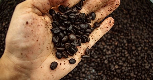 Cách trị thâm quầng mắt với bột cà phê Giải pháp hiệu quả cho làn da sáng mịn