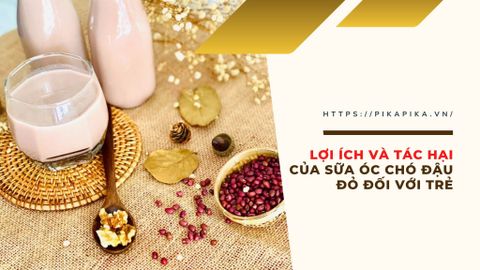 ​​​​​​​Lợi ích và tác hại của sữa óc chó đậu đỏ đối với trẻ đáng lưu tâm