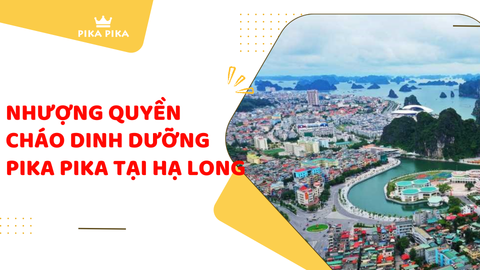 Nhượng Quyền Cháo Dinh Dưỡng Pika Pika Tại Hạ Long: Cơ Hội Kinh Doanh Tiềm Năng