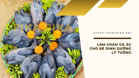 Các Bước Đơn Giản Để Làm Món Cháo Gà Ác Cho Bé Ăn Dặm Lý Tưởng