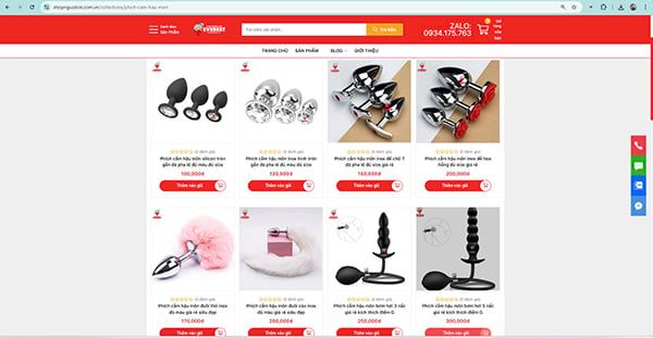 Shop Everest chuyên bán phích cắm hậu môn giá rẻ đến cao cấp uy tín ở TpHCM