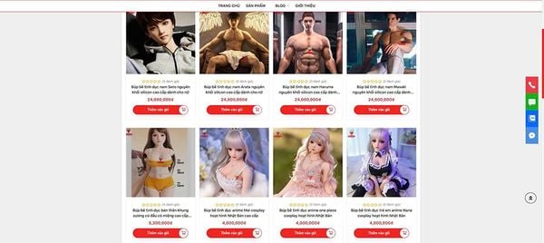 Hiện nay có rất nhiều cửa hàng bán búp bê tình dục rất đa dạng ở TpHCM