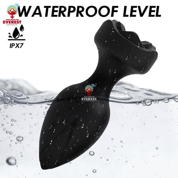 Luôn đảm bảo vệ sinh sạch sẽ phích cắm hậu môn trước và sau khi sử dụng