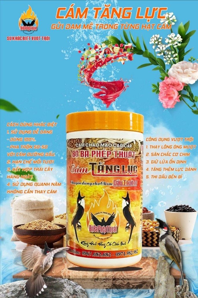 HƯỚNG DẪN SỬ DỤNG CÁM TĂNG LỰC HIỆU QUẢ NHẤT