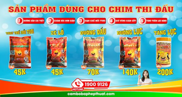 THÔNG BÁO VỀ VIỆC CHUẨN HÓA BAO BÌ SẢN PHẨM