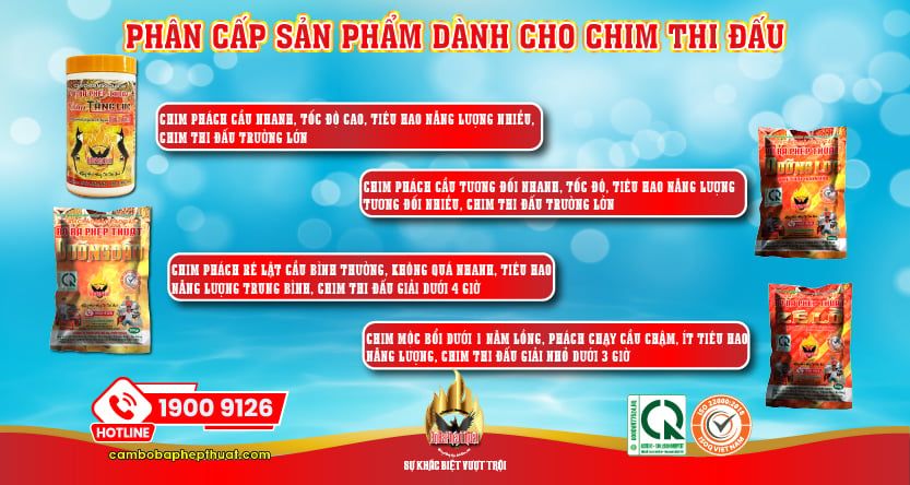 PHÂN CẤP SẢN PHẨM DÀNH CHO CHIM THI ĐẤU