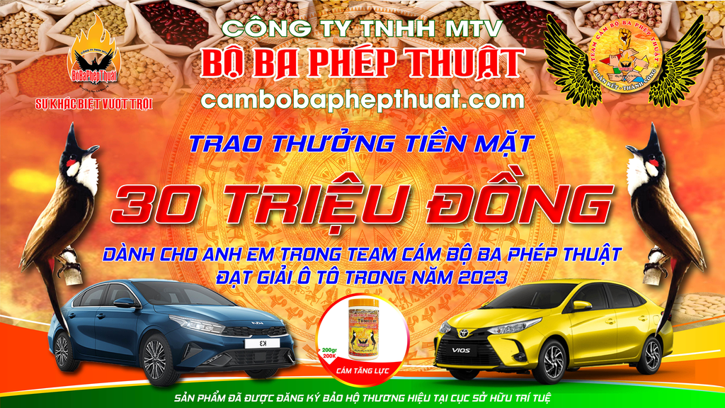 TIN VUI 2023 DÀNH CHO AE TRONG TEAM CÁM BỘ BA PHÉP THUẬT