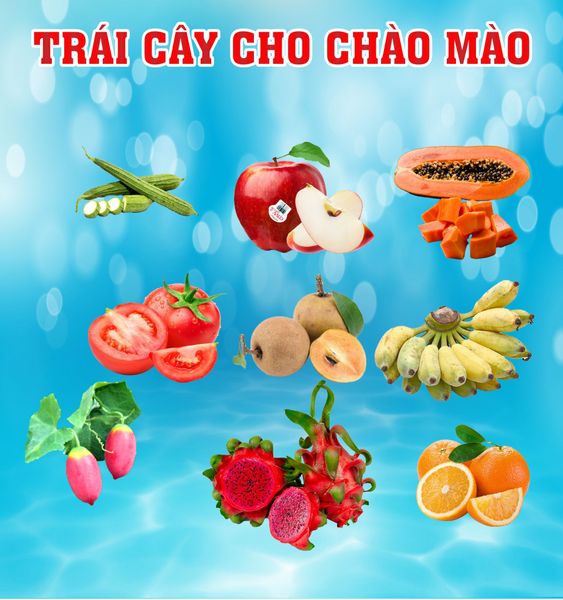 TRÁI CÂY CHO CHÀO MÀO