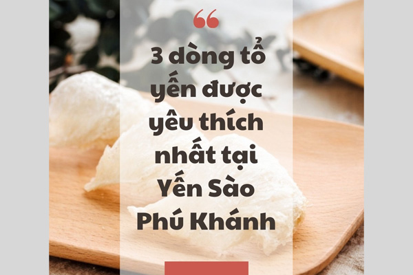 3 dòng Tổ Yến được các khách hàng yêu thích nhất tại Yến Sào Phú Khánh