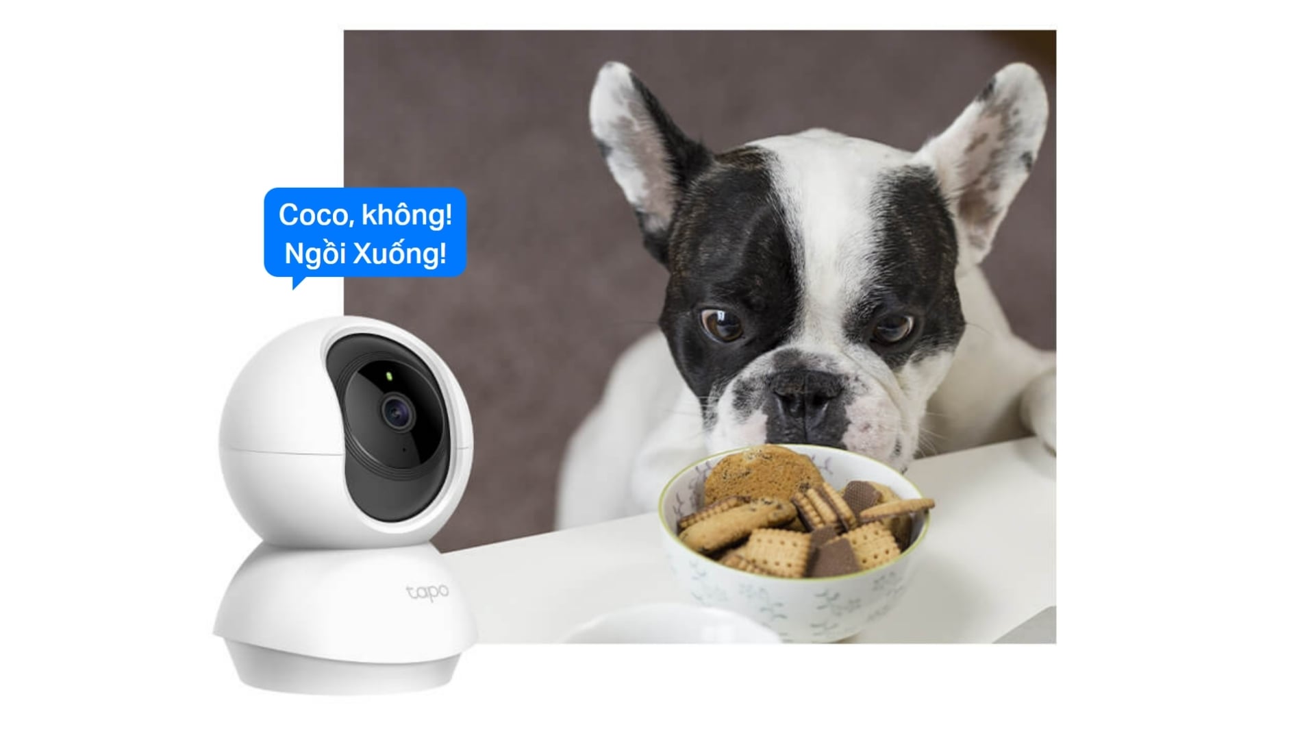 Camera WiFi 360 Độ 2MP TP-Link Tapo C200 - Âm thanh hai chiều
