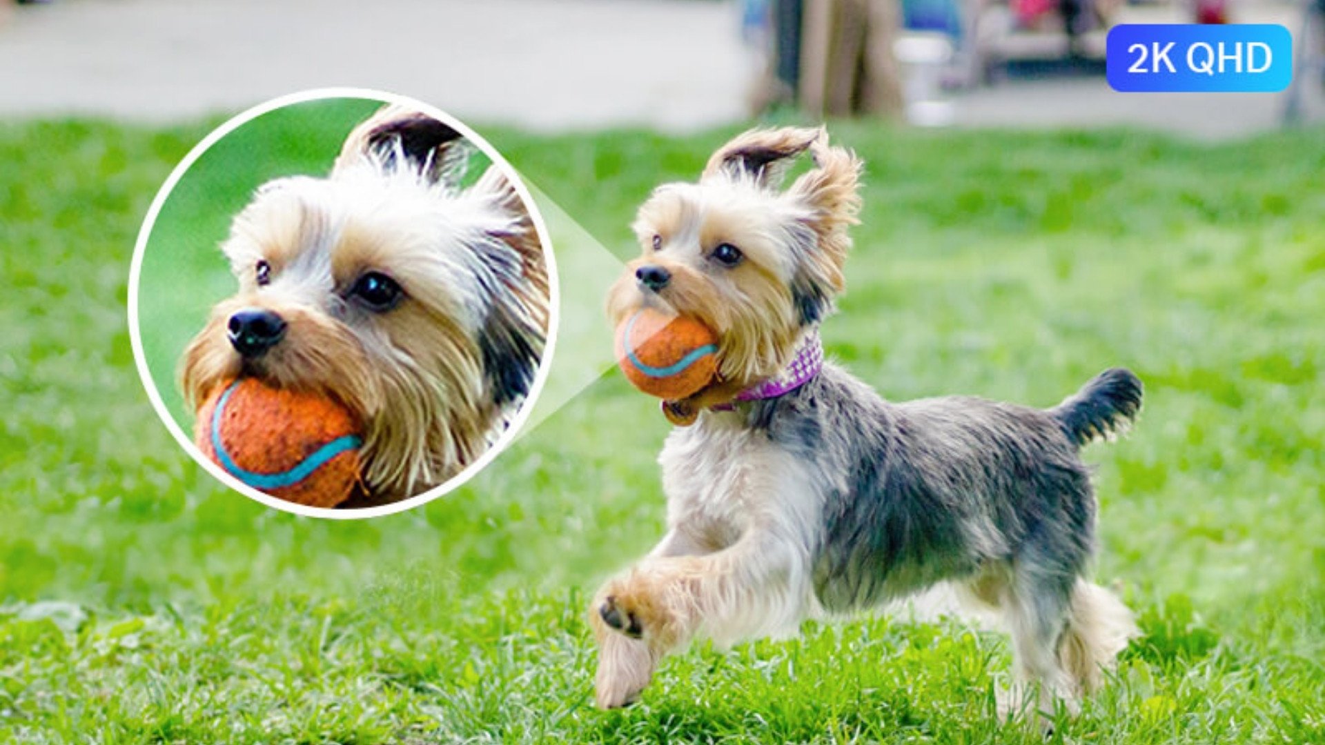 Camera WiFi Ngoài Trời 4MP TP-Link Tapo C320WS - Ghi lại mọi thứ xung quanh một cách sắc nét