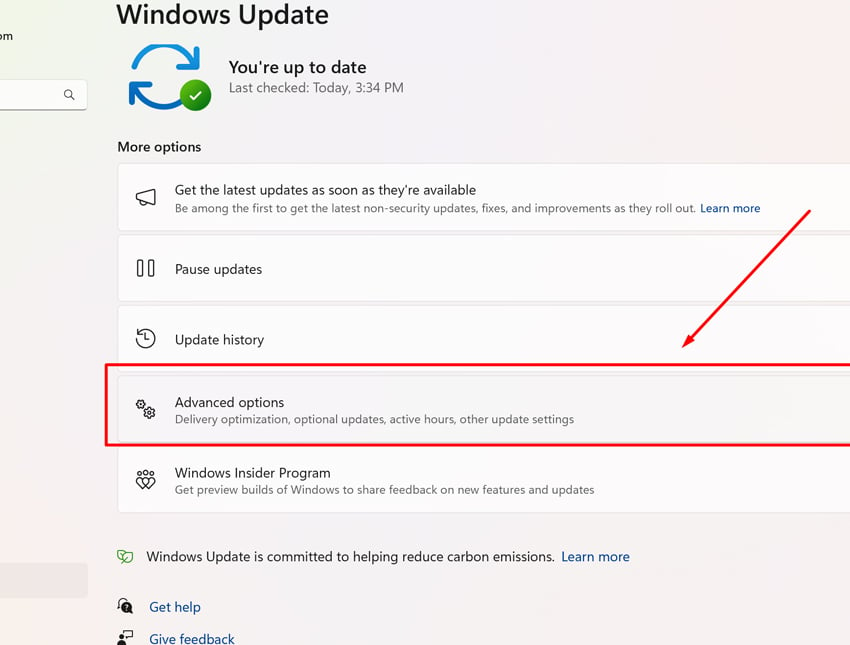 Kéo xuống phần Windows Update > Advanced Options.