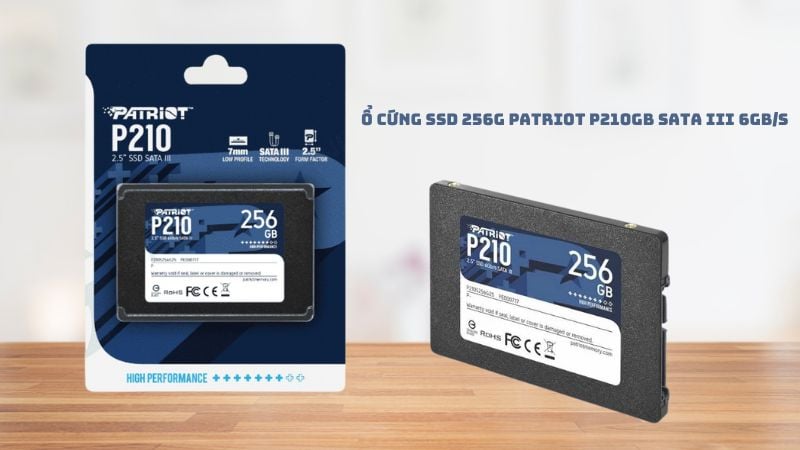 Ổ Cứng SSD 256G Patriot P210GB