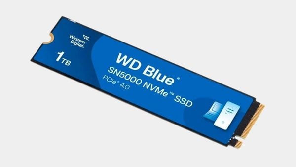 Với dung lượng 1TB và độ bền TBW 600TB, SSD Western Digital Blue SN5000 là lựa chọn lý tưởng cho nhu cầu lưu trữ lớn và ổn định.
