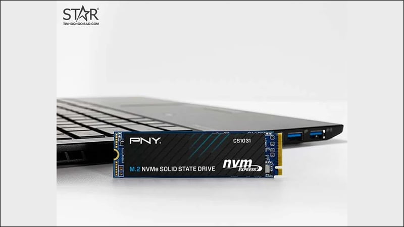 Ổ cứng SSD 256GB PNY CS1031 NVMe PCIe Gen 3×4 M.2 2280