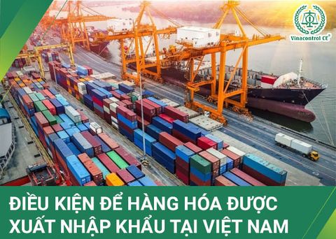 Điều kiện xuất nhập khẩu hàng hóa tại Việt Nam