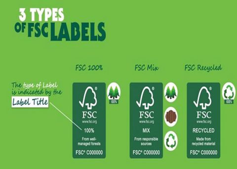 FSC là gì? 5 bước để chứng nhận FSC nhanh chóng