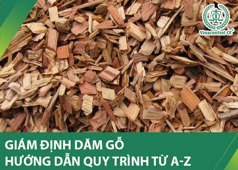 Giám định dăm gỗ | Hướng dẫn quy trình từ A-Z