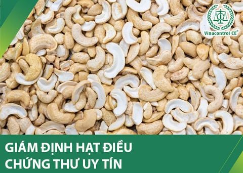 Giám định hạt điều toàn quốc | Cấp chứng thư uy tín