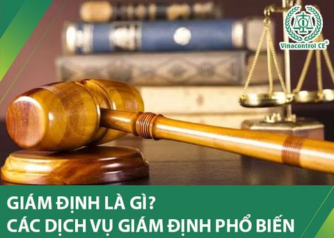 Giám định là gì? Các loại dịch vụ giám định phổ biến