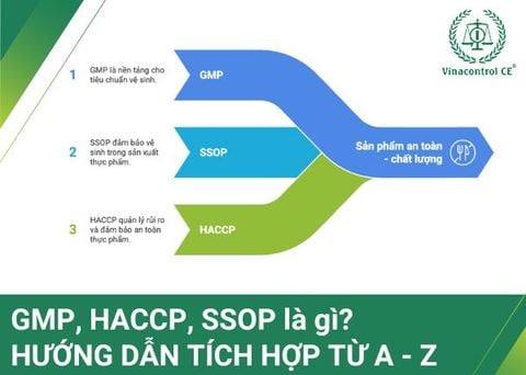 GMP, HACCP, SSOP là gì? | Hướng dẫn tích hợp & Ví dụ thực tế