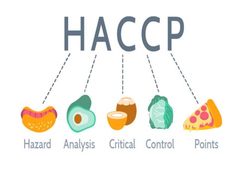 HACCP là gì? Tiêu chuẩn về An toàn thực phẩm