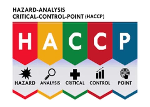 Tư vấn HACCP - Cấp chứng chỉ an toàn thực phẩm