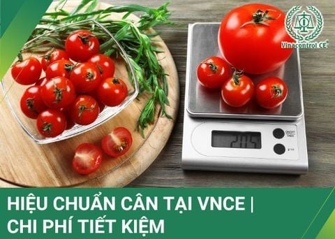Hiệu chuẩn cân | Phân loại & quy trình hiệu chuẩn 2025