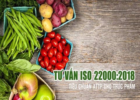 Tư vấn ISO 22000 - Cấp chứng chỉ an toàn thực phẩm