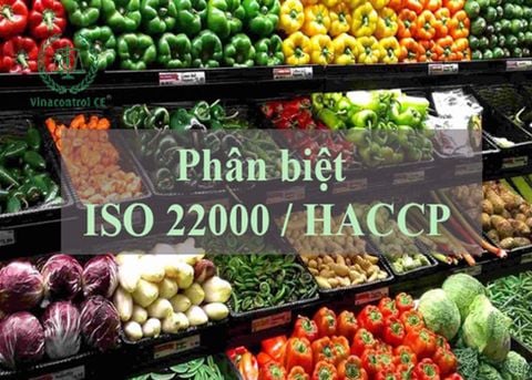 Phân biệt ISO 22000 và HACCP – Tiêu chuẩn ATTP cho doanh nghiệp