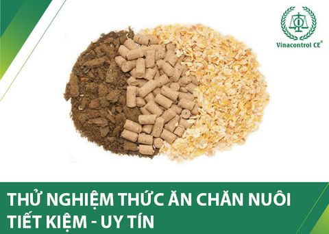 Thử nghiệm thức ăn 78Wing kèo World Cup 2026 | Tiết kiệm – Uy tín