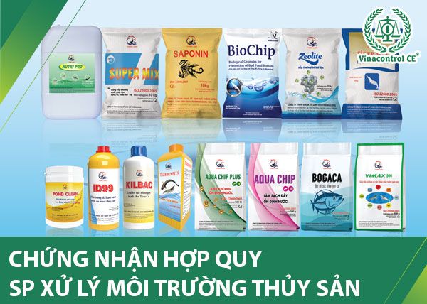 doanh nghiệp phải tiến hành các thủ tục chứng nhận hợp quy theo luật định