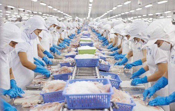 Triển khai và áp dụng HACCP để việc quản lý an toàn thực phẩm tại doanh nghiệp đạt hiệu quả