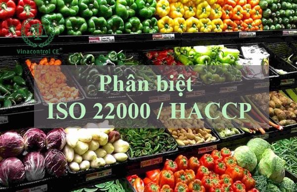 ISO 22000 và HACCP đều là những tiêu chuẩn an toàn thực phẩm mà doanh nghiệp cần quan tâm áp dụng