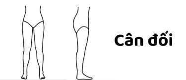 cân đối