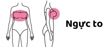 ngực to
