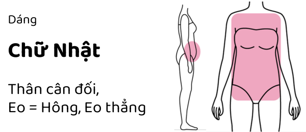 Dáng chữ nhật